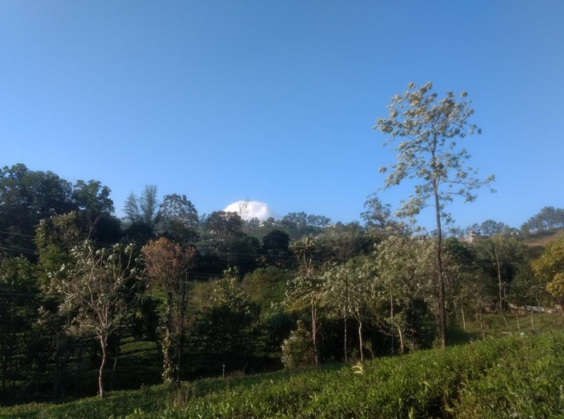 Отель Lavender Вагамон Экстерьер фото